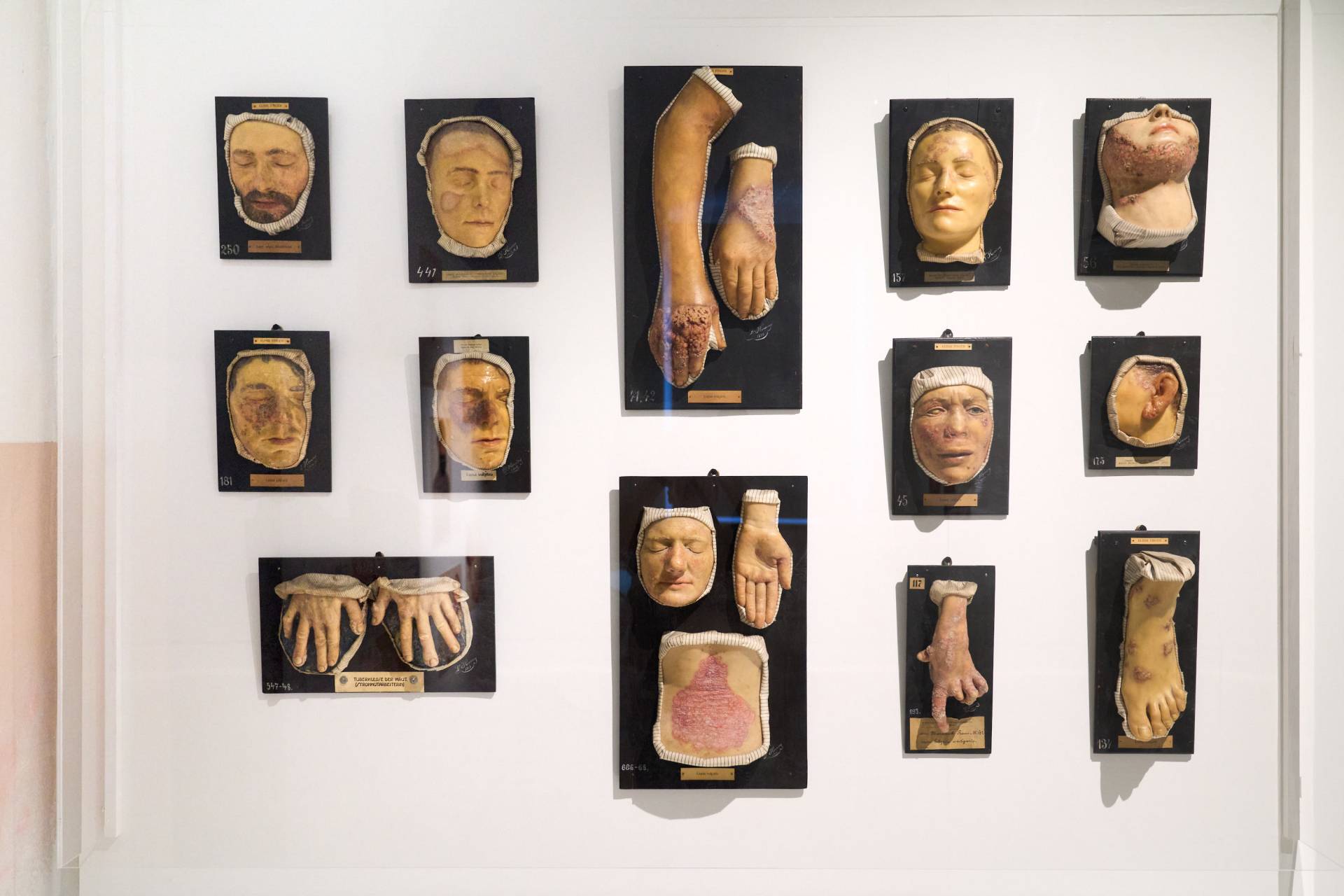 club_tirol_fuehrung_josephinum_20250922-182733