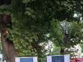 16. Sommerfest des Club Tirol
